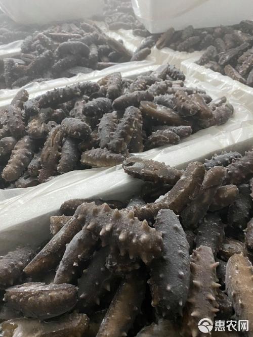 顺丰科技赋能即食海参 860头工厂直发，共创品质新篇章